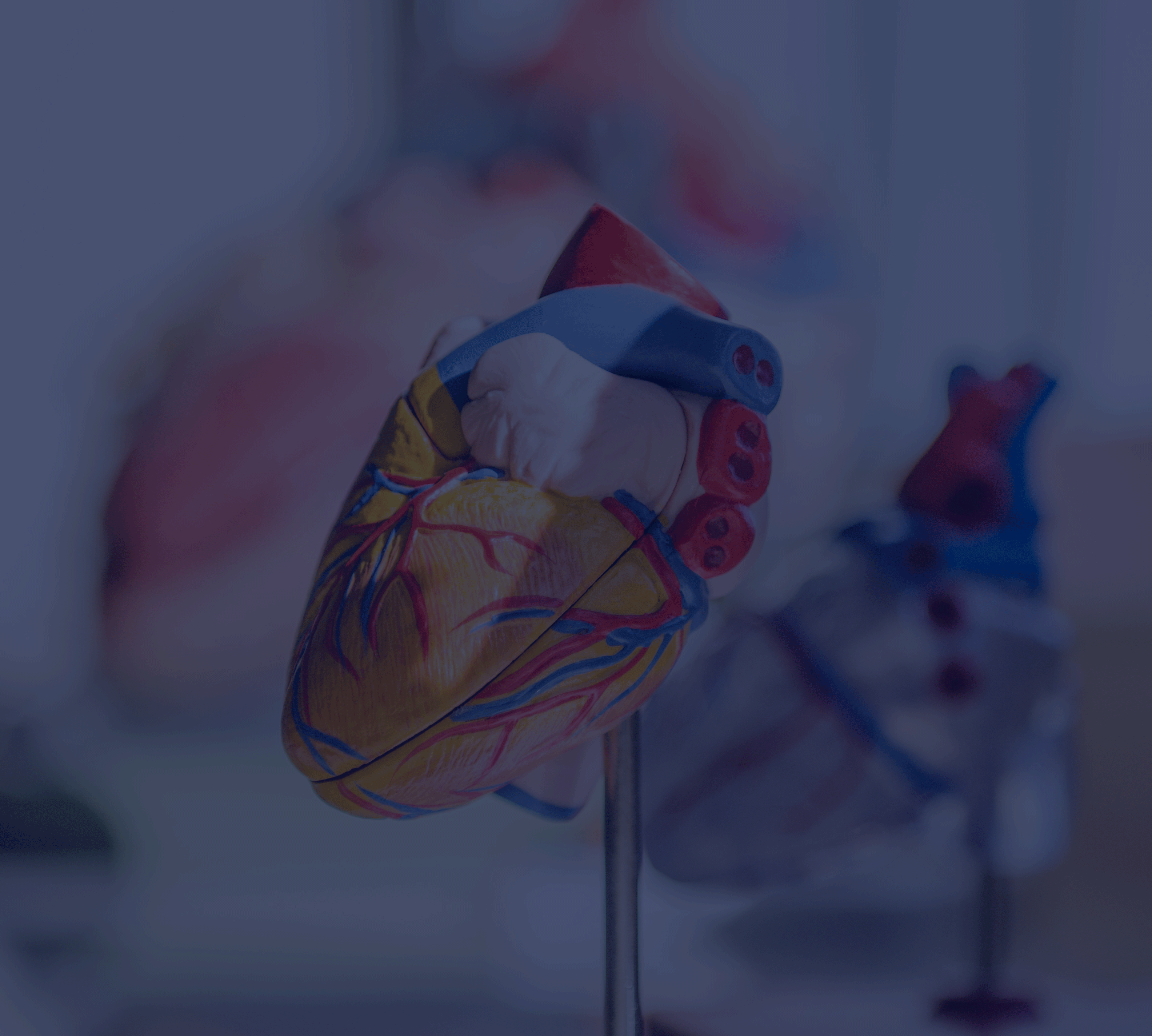 أمراض القلب